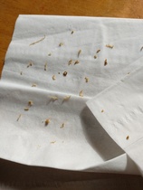 Is this about to blow?