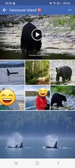 Canada - rockies or vancouver island?