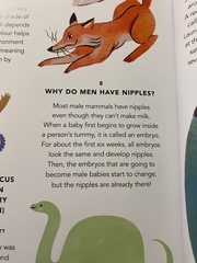 To edit or return this children's book for being weirdly inaccurate/sexist?