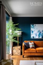 Sofa fabric colour