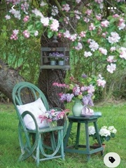 Advice needed re seating area under neighbour's tree