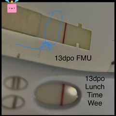 Obsessive testers welcome!