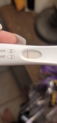 No symptoms. Too early?