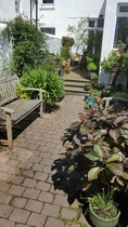 Small yard garden - ideas, please!