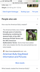 “Getting ANY adult dog breed is strongly NOT recommended”