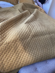 Dry Cleaners have ruined bedspread and say it’s not their provlem