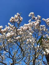 Any Witches Here? Part 16