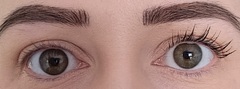 AIBU to want to know if there is anything that ACTUALLY gives the 'false lash effect'