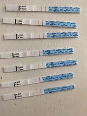 Strong OPK line?