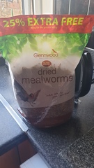 Nature Notes: the 2022 edition