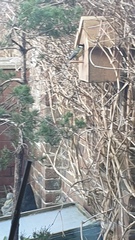 Nature Notes: the 2022 edition