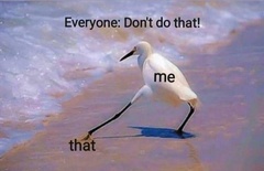 To ask you for your favourite cheesy joke or meme