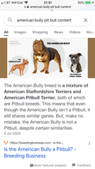 “Getting ANY adult dog breed is strongly NOT recommended”