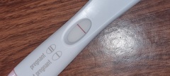 5dp3dt questions