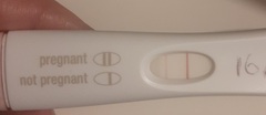 Help! Hoping this is a positive??