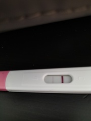 Bfp?!