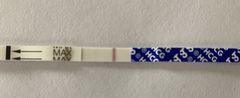7dpo/8dpo pregnancy tests