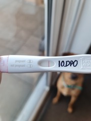 10DPO VVFL OH says "don't get your hopes up"