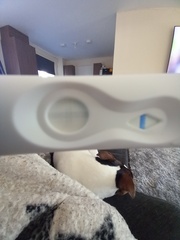 Pls tell me what this is 13dpo