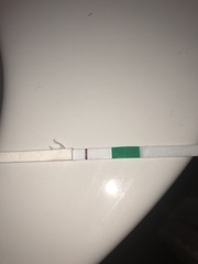 Trying to conceive