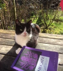 Show us your pictures of your cat(s) mellowing out in the sunshine.