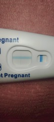 Clear blue pregnancy test help!