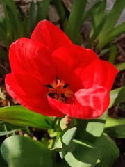 Show Us Your Pictures 6