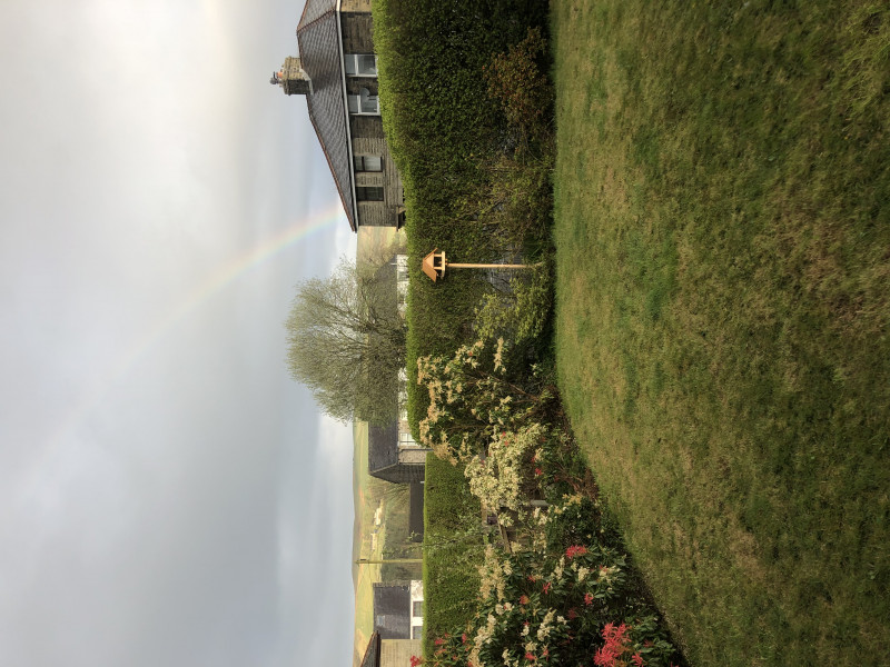 This is my new front garden 