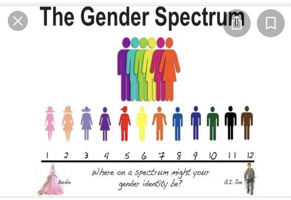 Times on Sex Matters survey: 8 in 10 teachers say their secondary school has trans or non-binary pupils