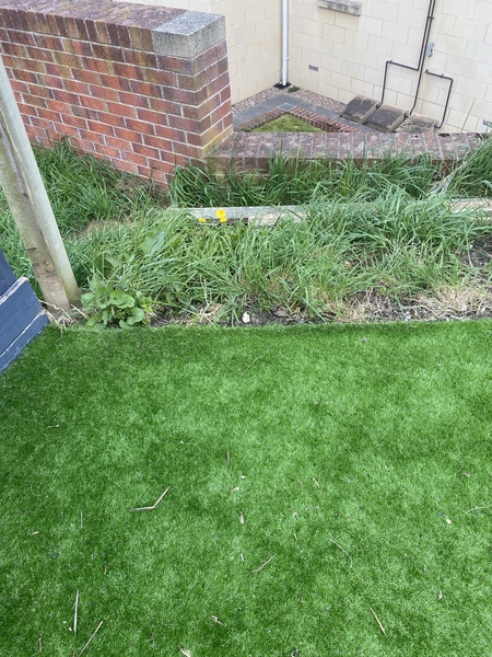 Rebuilding fence beyond boundary line