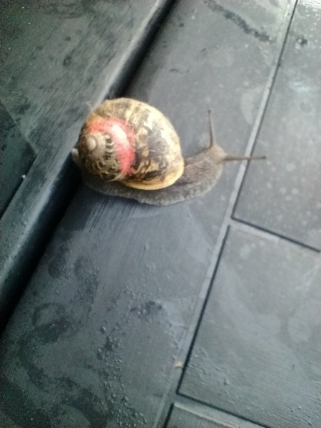 Nature Notes: the 2022 edition