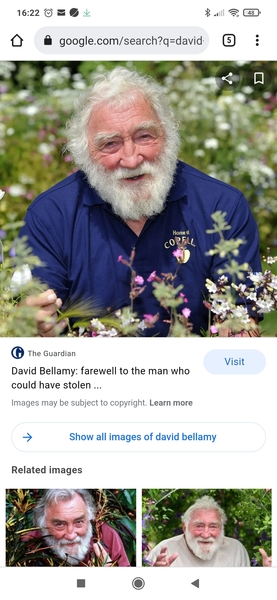 Bellamy
