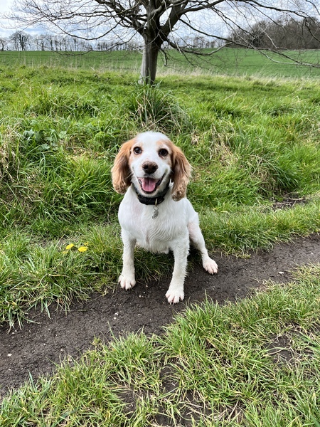 Come and tell me your dull and unexciting news 22: Calmly through the day