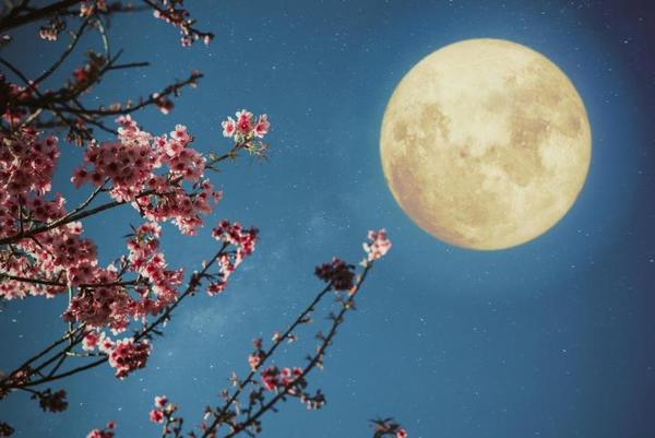 Any Witches Here? Part 16