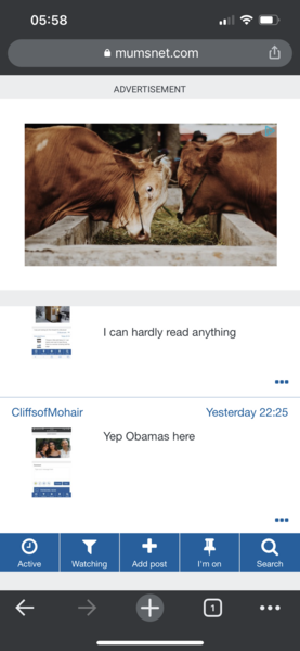 AIBU - what is it with the ads tonight?!