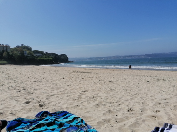 Due December (thread 2) 👯