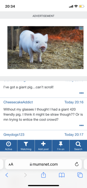 Huge ads not scrolling