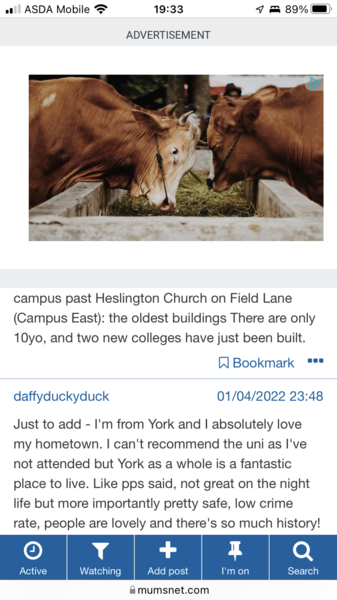 Huge ads not scrolling