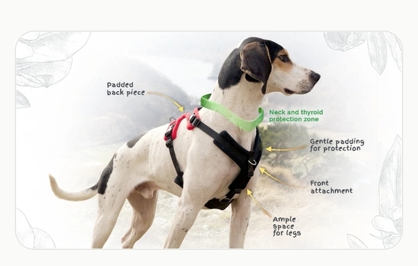 Are harnesses as bad as this person says?