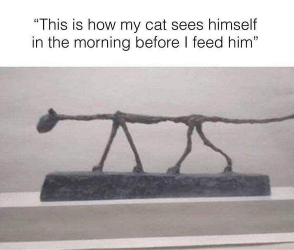 Good cat memes