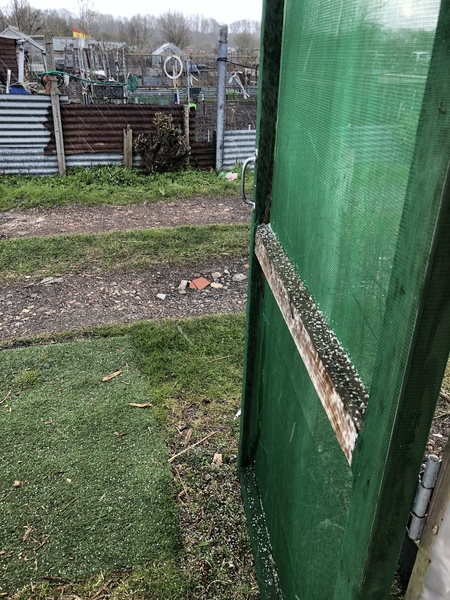 Countdown to Christmas 2022: spring has sprung, bring on the longer days! Thread 2.