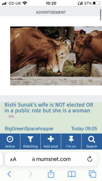 Adverts in posts