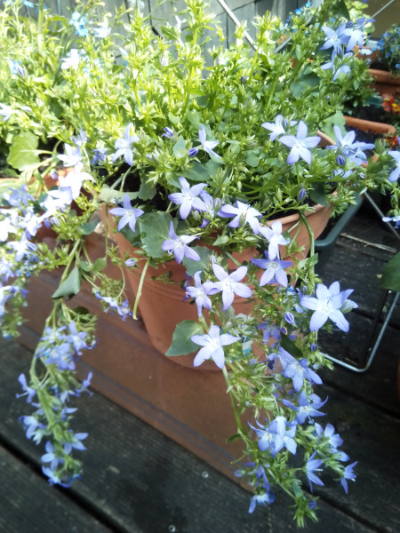 Come and tell me your dull and unexciting news 22: Calmly through the day