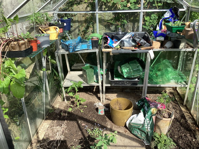 Tackling my overgrown veg plot. Where to begin?
