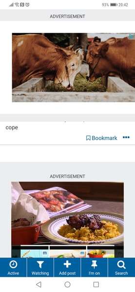 Huge ads not scrolling