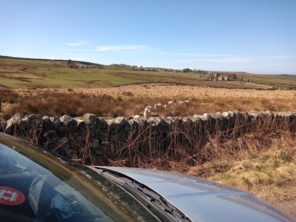 Moving to Newcastle/ Northumberland?