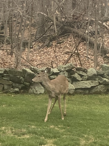 Come and tell me your dull and unexciting news 22: Calmly through the day