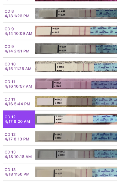ovulation tests - confused