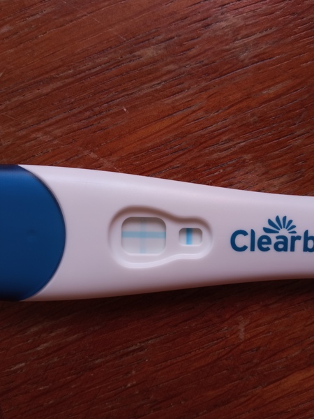 TTC Cycle 21 BBT chart different. 10dpo. could it be?