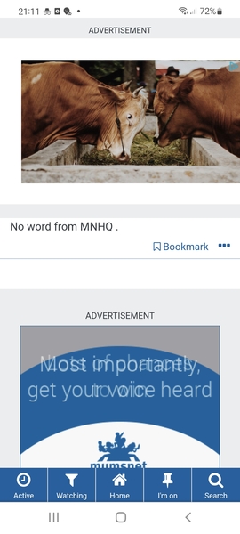 Huge ads not scrolling